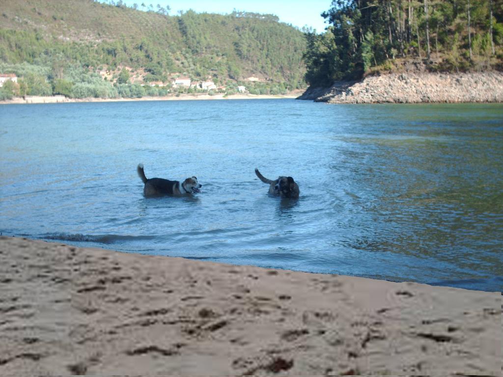 Chao Da Lousa Dornes Esterno foto